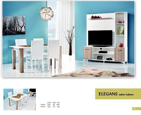 Elegans Salon Takımı Modeli